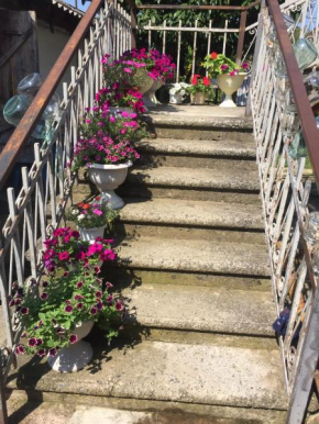 Guesthouse Uyut, Alakhadzi
